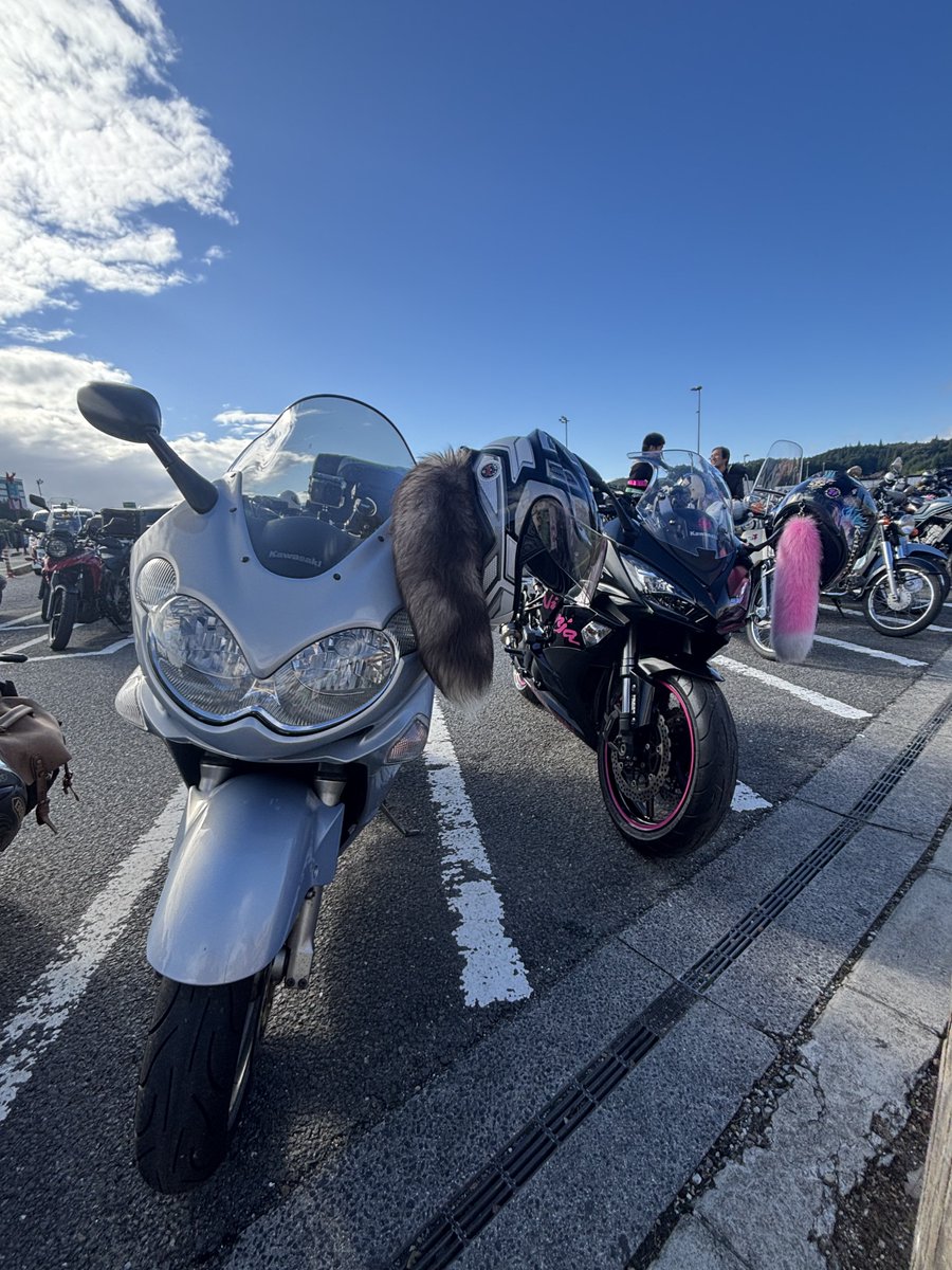 みーやん@Belle♡Ninja1000♡ on X