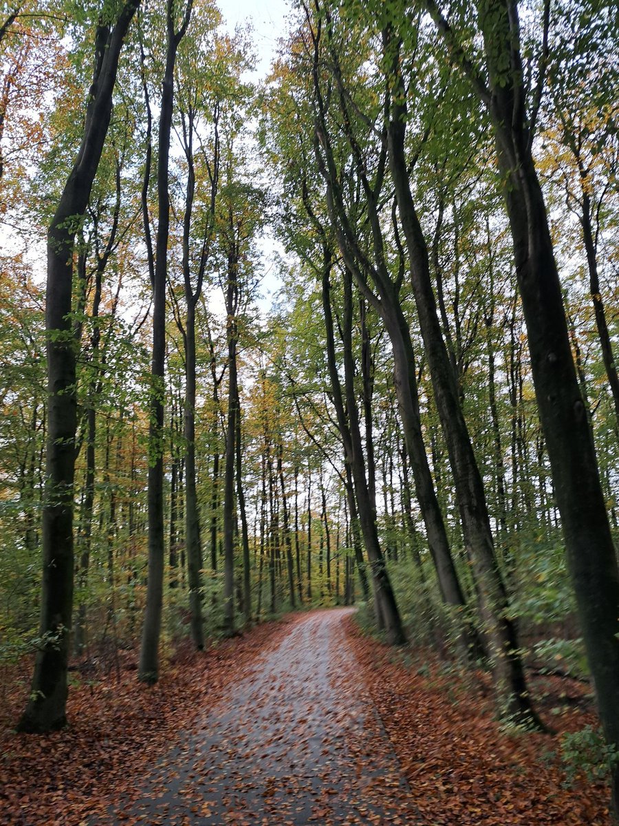 SimonPetrus64's tweet image. 