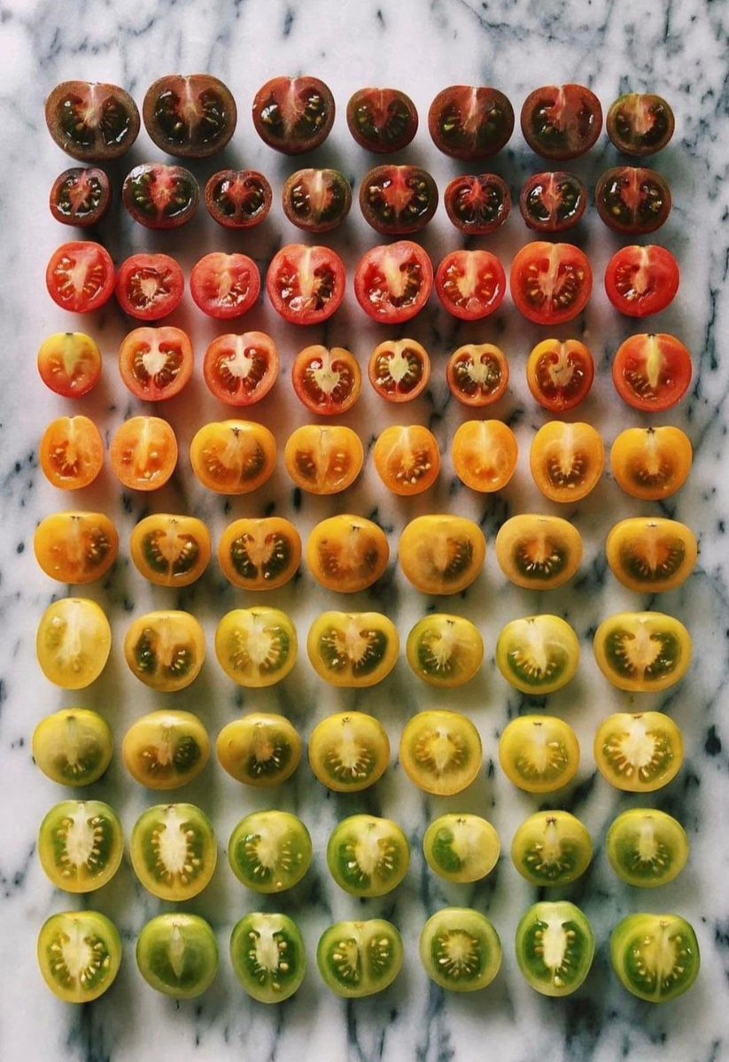 GkslGkce's tweet image. #Renkler #Değişim #Zaman