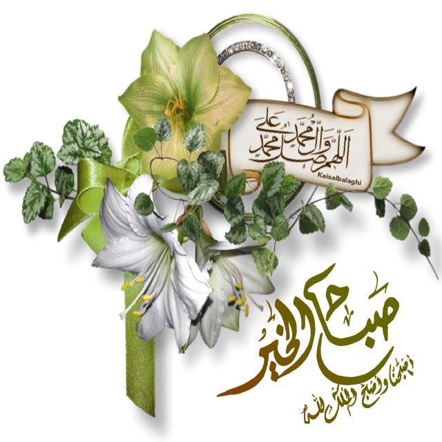 <a href="/EkhlasAldabee/">آمـ عليـﮯ آلدبيـﮯ</a>