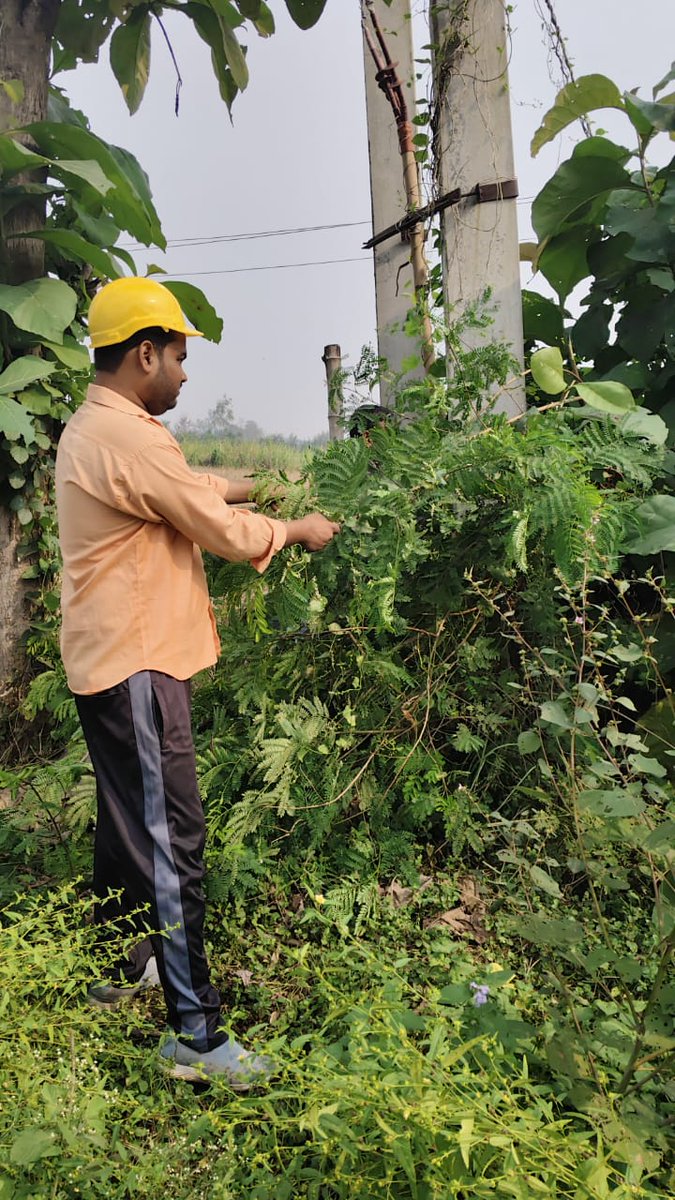 MVVNLambdkrngr's tweet image. Maintenance work under ss senpur
@aksharmaBharat 
@ChiefAyodhya 
@MVVNLHQ 
@mduppcl 
@ChairmanUppcl