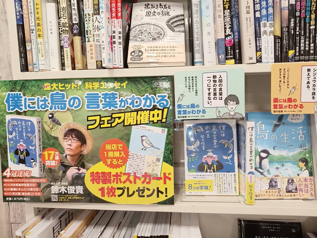 ブックポートネギシ on X