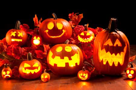 Ninon92353610's tweet photo. #PlumeHalloween https://t.co/nPo7NhkiAN