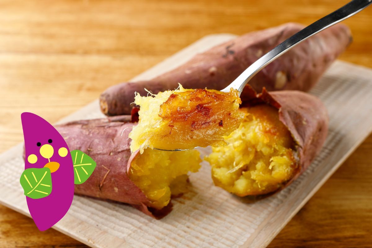 ＼今日は #文化の日 ／

さつまいもってどこから来たか知っていますか？🍠

実は南アメリカ原産で、1600年ごろ、中国・琉球を経て日本へ伝わりました。

今では茨城県や千葉県でも
多く栽培されており、
その良質なさつまいもを使用した「紅天使」はねっとり濃厚な甘さが自慢✨