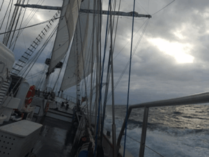 ⛵Alumni selected for our Rolex Sydney Hobart Yacht Race Crew

Read the latest ➡️ youngendeavour.gov.au/alumni-rolex-s…