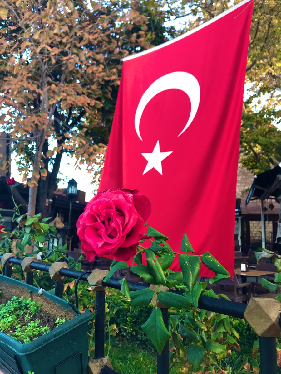 🤝☕️
#Günaydın.☀️ 
Değerli Dostlarım.
Sevgili Arkadaşlarım.
#YeniBirHafta.🍂🍁
#GüzelBirGün.☕️🍫
Size ve Sevdiklerinize.
Sonsuz Güzellikler Getirsin.
İşiniz gücünüz rast gelsin.
Her şey gönlünüzce olsun.
Selam Saygı ve Sevgiyle.
🇹🇷💫🍃🌼🌺🍃💫🇹🇷