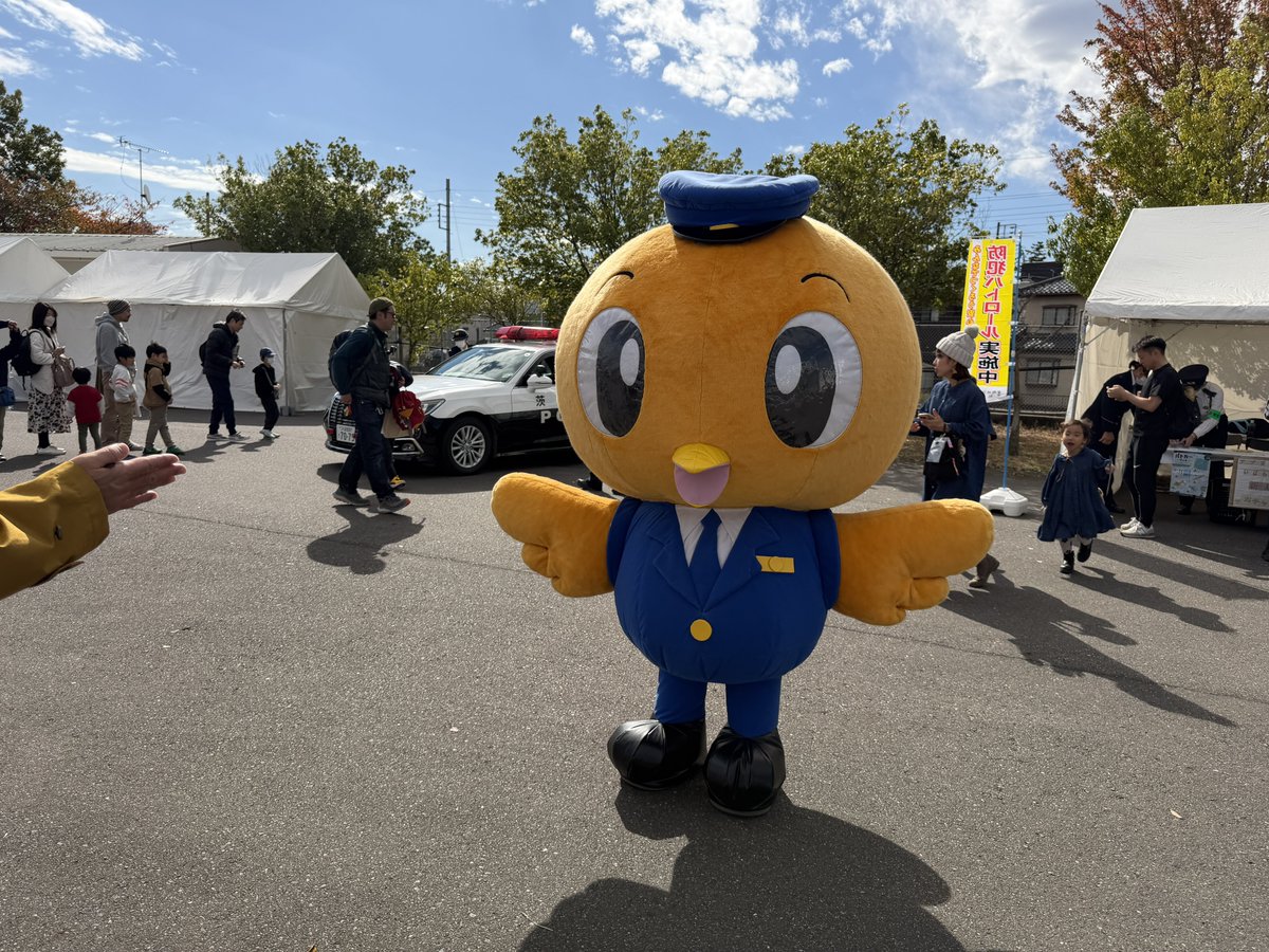 はっぱ (@happapom) / Posts / X