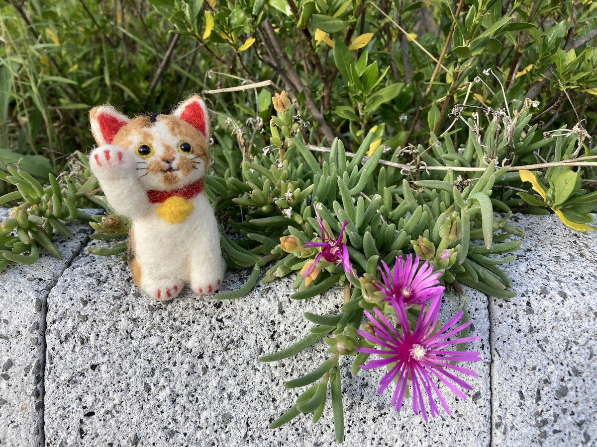 ♥ひろりん♥クレイフラワー♥ハロウィン♥ワンちゃんとネコちゃんの収穫祭 ♥ひろりん様専用♥クレイフラワー♥ハロウィン♥ワンちゃんとネコ