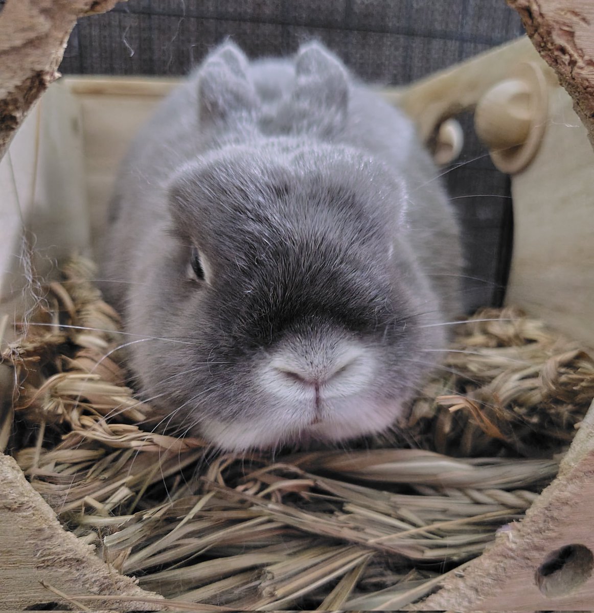 ひるぴ― (@shizuku20170525) / Posts / X