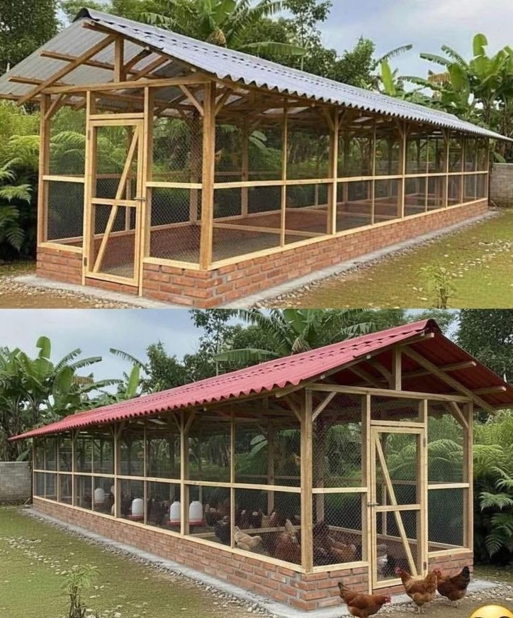 Low budget poultry coop