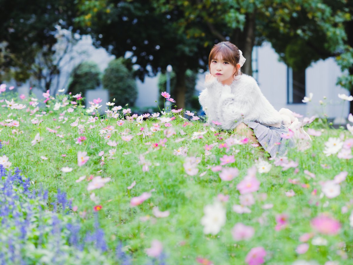 PinkySpice東京撮影会
シンボルプロムナード公園
2025.11.01

＃綿雲えり