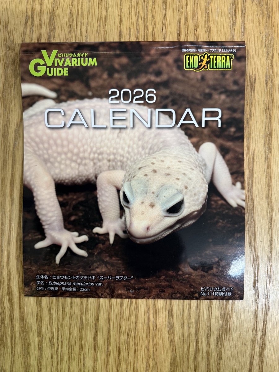 爬虫類専門店ファインレプタイルズ on X