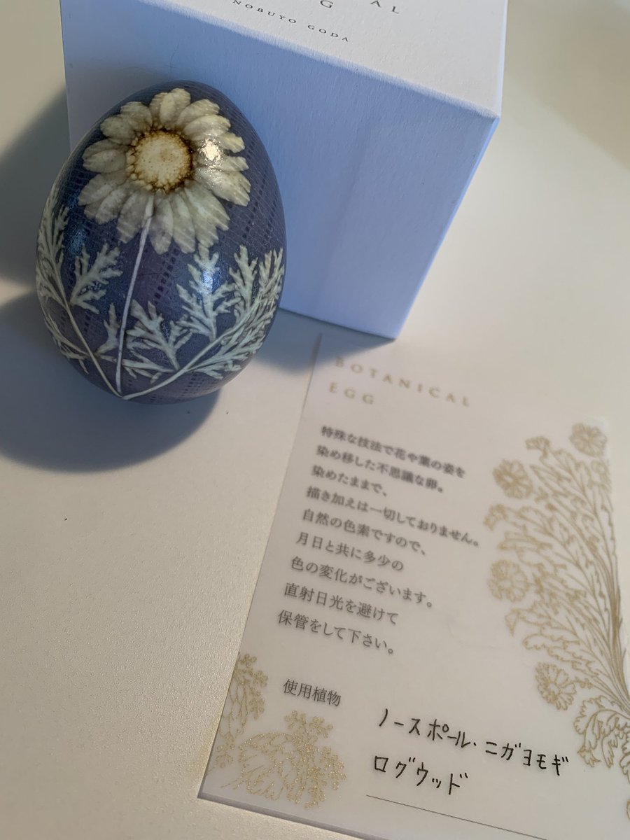 来ちゃった❗️来ちゃった❗️
私の大好き自由行動のお時間💕💕
今日は、毎月来てしまう書店「スプラウトブックス&amp;アート」ヽ(´▽｀)/
敬愛してる「伊豫田晃一（<a href="/locus_solus/">Koichi Iyoda</a>）」先生の新作と「合田ノブヨ（<a href="/goda_nobuyo/">合田ノブヨ</a>）先生のボタニカル・エッグを拝見し、お迎えしました⸜(*ˊᗜˋ*)⸝ ❤︎ 🌈🌈