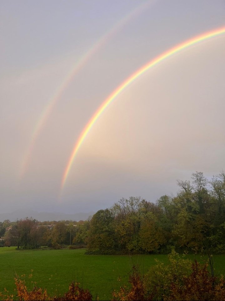 "Oggi Gesù ci dice che nulla e nessuno andrà perso, che in Lui ogni cosa viene salvata
Tra la terra e il cielo c'è un punto d'incontro, dove combaciano, dove si fondono uno nell'altro e scompaiono i confini, i limiti..perché non esistano più separazioni" (dLuigi Verdi)
#2novembre