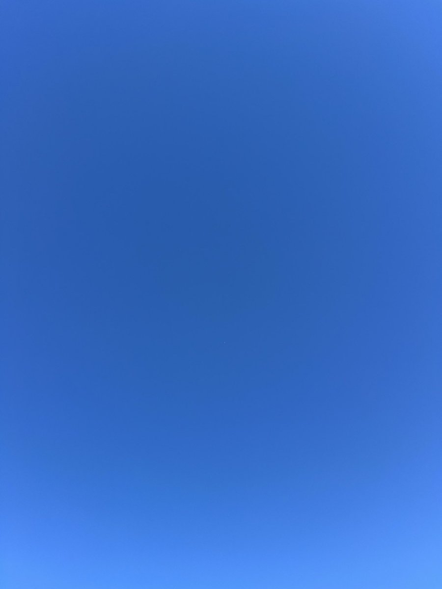 透き通るような青空in御苑