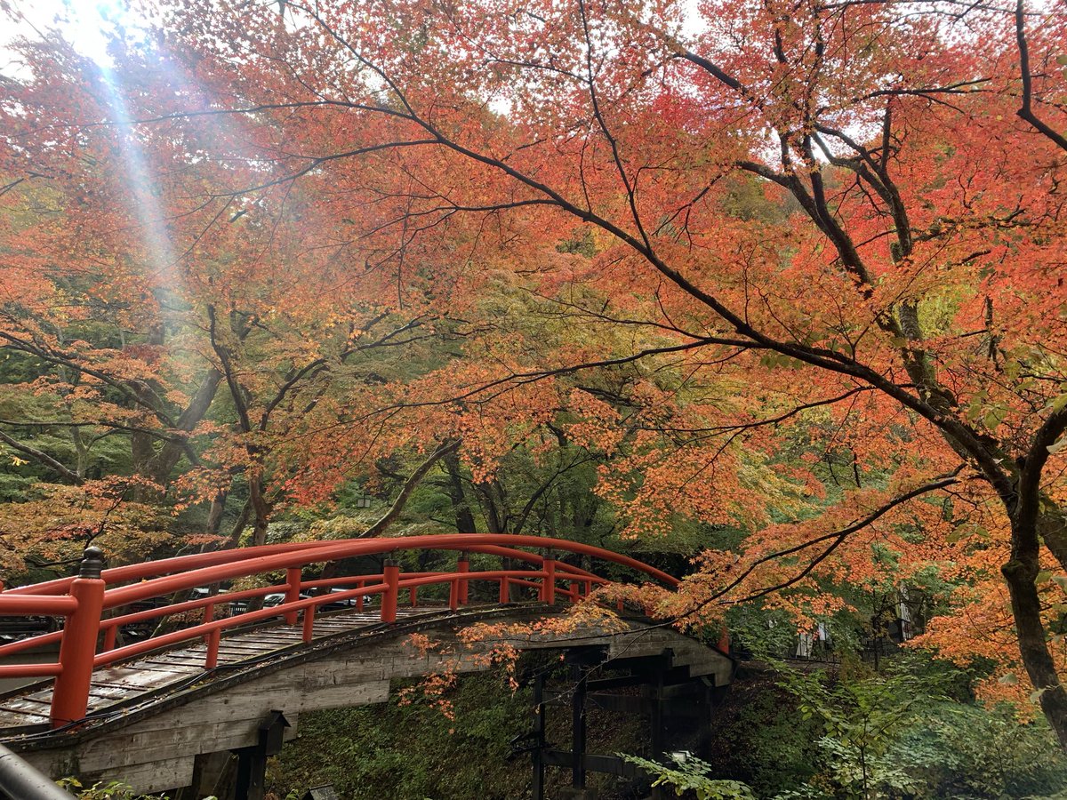 PHPxRmPCy52152's tweet image. IKAHO