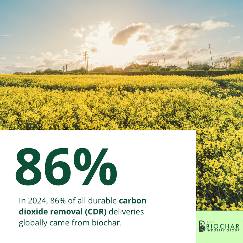 🌳 While many CDR methods are still experimental, biochar has become the leading practical solution today, dominating the global carbon removal market by volume in 2024.

That makes it the dominant method in practice today. 

Source: Carbonfuture