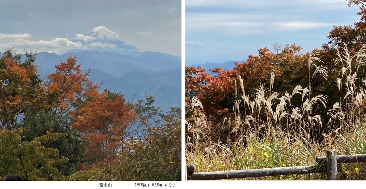 YoKK246's tweet photo. Nov 02, 2025　（#陣馬山 855m 奥多摩）　富士山　#紅葉　#センブリ　#リンドウ https://t.co/WtLoaHvehs