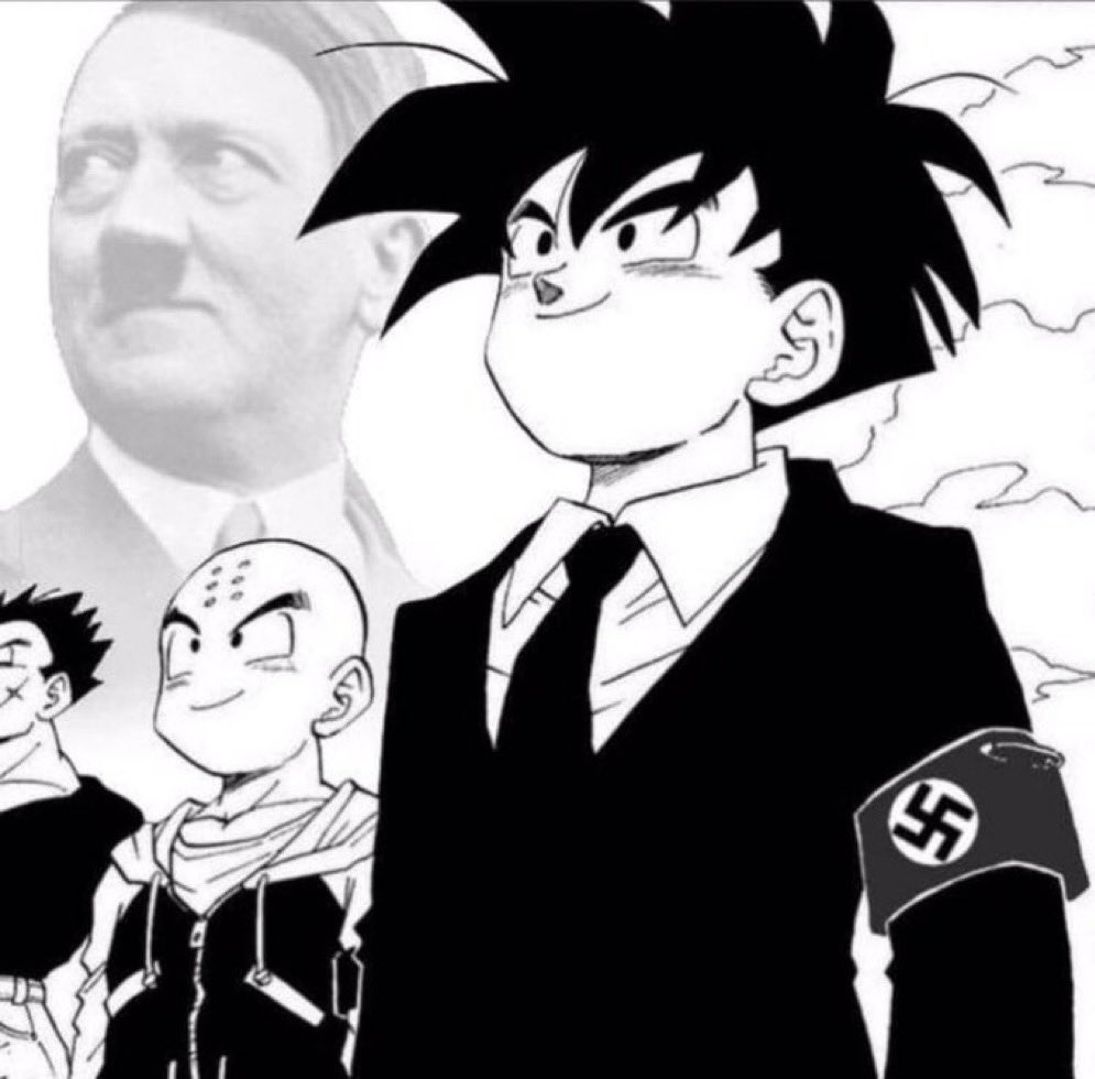 Les gens qui vont voter clair obscure vont aussi voter RN en 2027