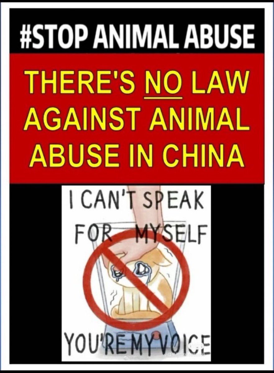 <a href="/bapak7189/">Bapak ahmed suryanto</a> <a href="/PhaedraXTeddy/">Phaedra</a> <a href="/ElenaHaskins/">Elena Haskins, Authentic American</a> <a href="/Windd767657O/">Call for anti-animal cruelty laws</a> <a href="/A202220222000/">Anonymous For The Voiceless 🐾 🌿 🏴‍☠️</a> <a href="/CarlaCo92330391/">Carla Couto 🇵🇹</a> <a href="/angie_renati/">Angie Martinez 🐲🐲🐲</a> <a href="/SkogJohansen/">line skog johansen</a> <a href="/NickLoconteJr/">NALJR</a> <a href="/Mr_SuchCheese/">Mr Cheese</a> <a href="/yuceltanay53/">yücel  tanay</a> <a href="/Caterobin24/">Cate Robinson</a> <a href="/CATTLECAPERS/">Cartoonist & Author</a>