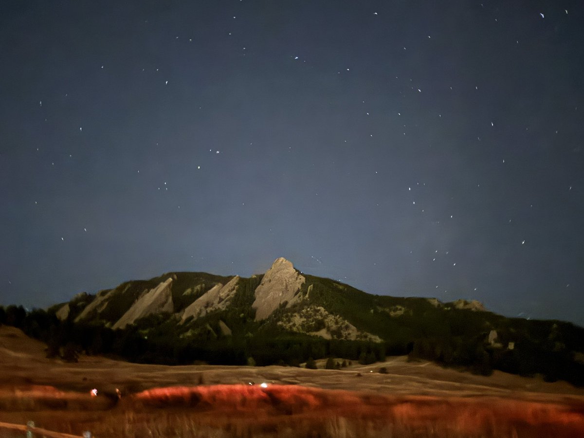 Marion Murphy tweet media