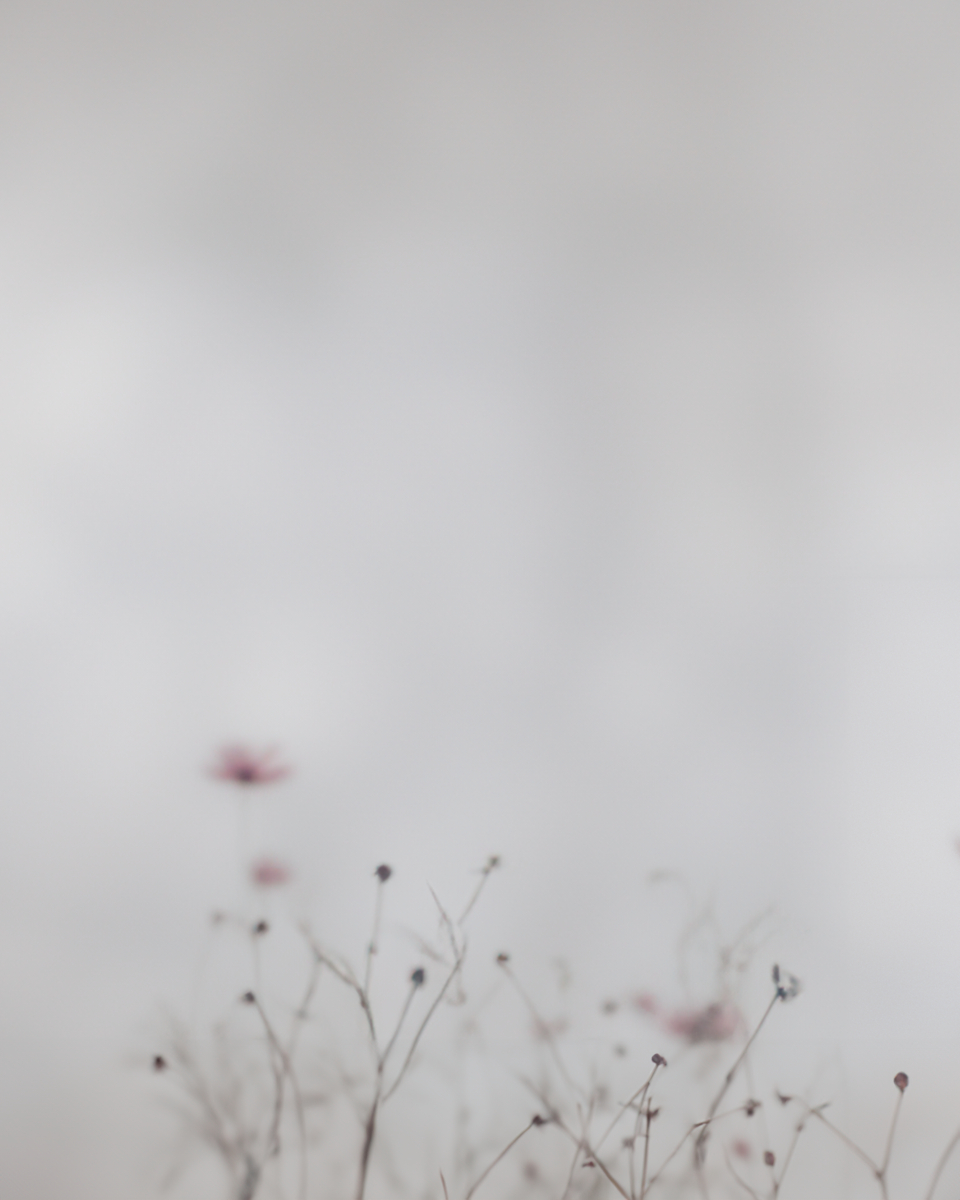 kenkenken (@kenkenkazkaz222) on Twitter photo 