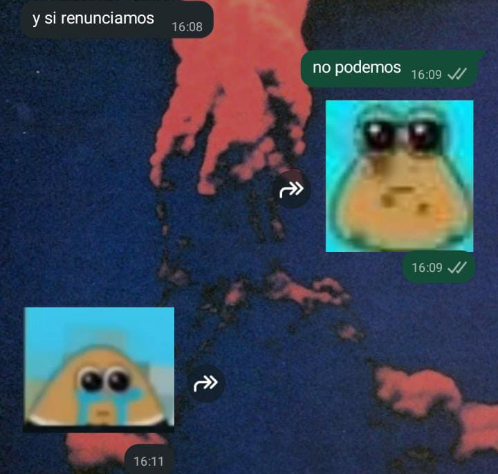 Janoc_c's tweet image. luna y yo las 24hs del día todos los días