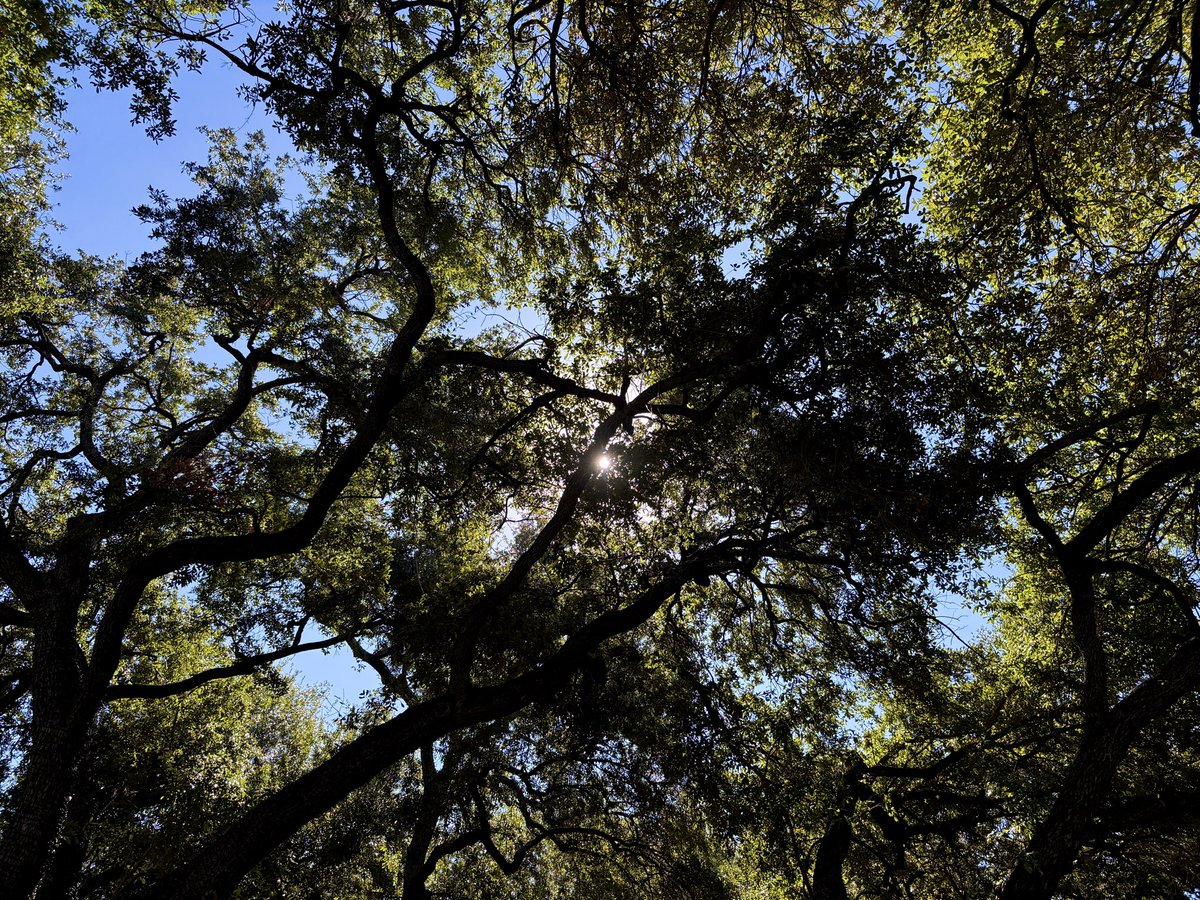 deallium's tweet image. i choose to see love everywhere i go