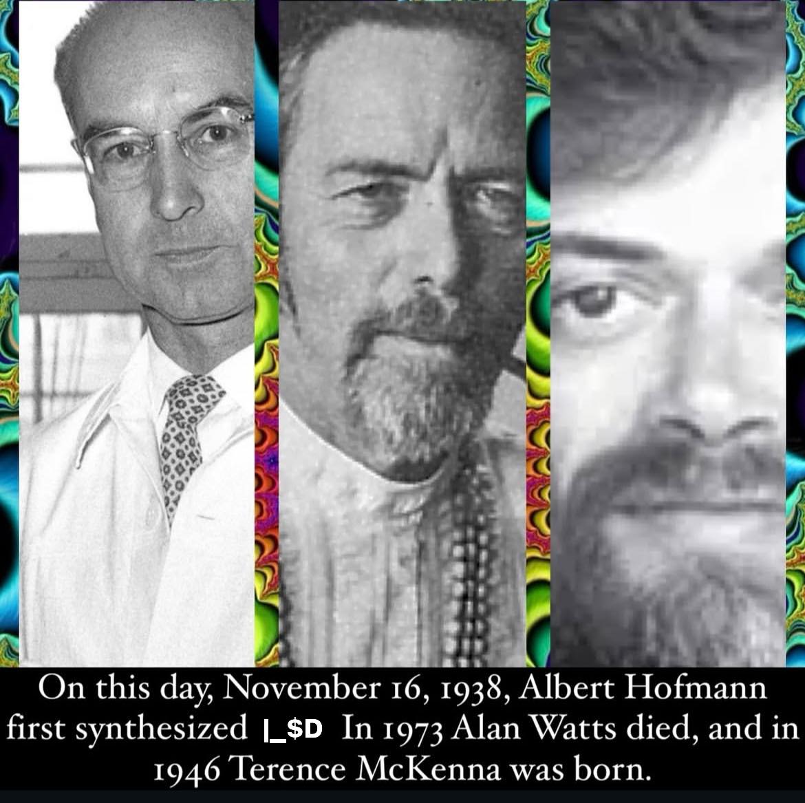 Webtrance's tweet image. Terence's biography by Graham St John has been published, while Journey to Everywhere has been around since 2012. Walk in the steps of smart people, while acknowledging their right to be wrong/human. 
Your Favorite Cybershaman

amazon.com/Journey-Everyw…
amazon.com/Strange-Attrac…