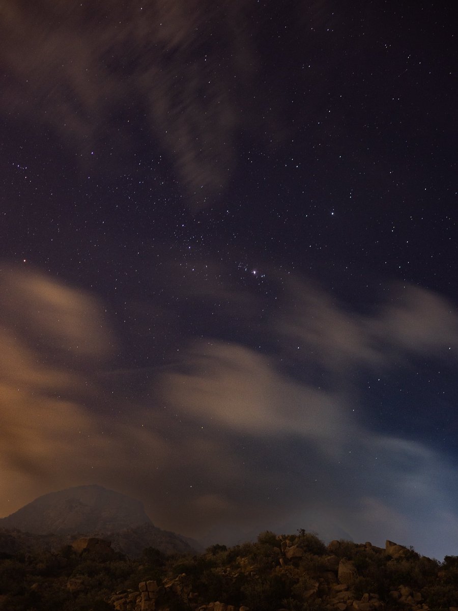 نجوم الشتاء
Winter stars