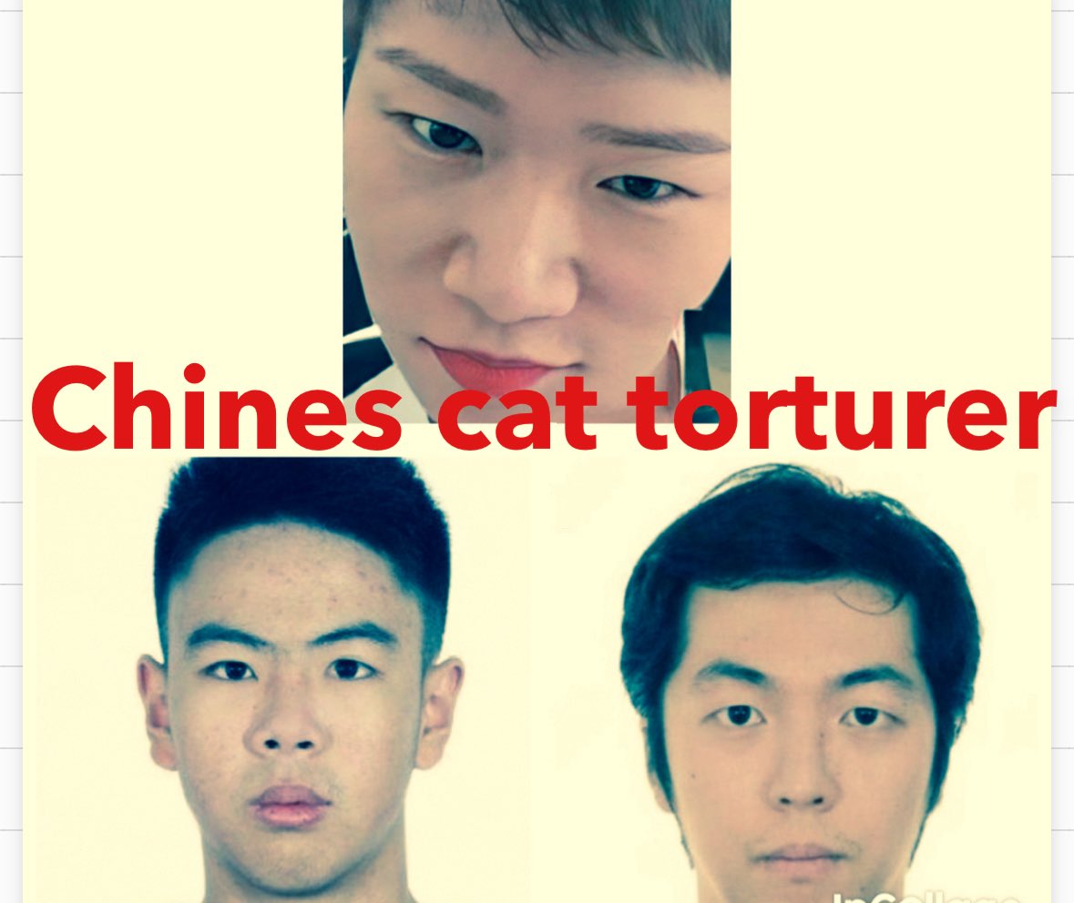 <a href="/SerenasMouth/">SerenasMouth</a> <a href="/bapak7189/">Bapak ahmed suryanto</a> <a href="/ElenaHaskins/">Elena Haskins, Authentic American</a> <a href="/Windd767657O/">Call for anti-animal cruelty laws</a> <a href="/A202220222000/">Anonymous For The Voiceless 🐾 🌿 🏴‍☠️</a> <a href="/CarlaCo92330391/">Carla Couto 🇵🇹</a> <a href="/angie_renati/">Angie Martinez 🐲🐲🐲</a> <a href="/SkogJohansen/">line skog johansen</a> <a href="/NickLoconteJr/">NALJR</a> <a href="/Mr_SuchCheese/">Mr Cheese</a> <a href="/yuceltanay53/">yücel  tanay</a> <a href="/Caterobin24/">Cate Robinson</a> <a href="/CATTLECAPERS/">Cartoonist & Author</a> WHO all are you referring to, Serena? The poster and those tagged and their followers definitely DONT buy shein and temu shit and they DONT buy #MadeInChina if rhey can possibly help it. My new phone is NOT #MadeInChina.
We #BoycottChina because ⏬️cnn.com/2025/05/30/asi…