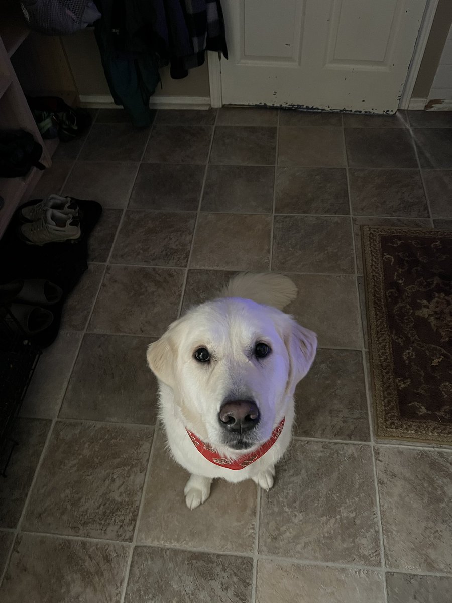 PowerPointBoy's tweet image. Nelly got a haircut