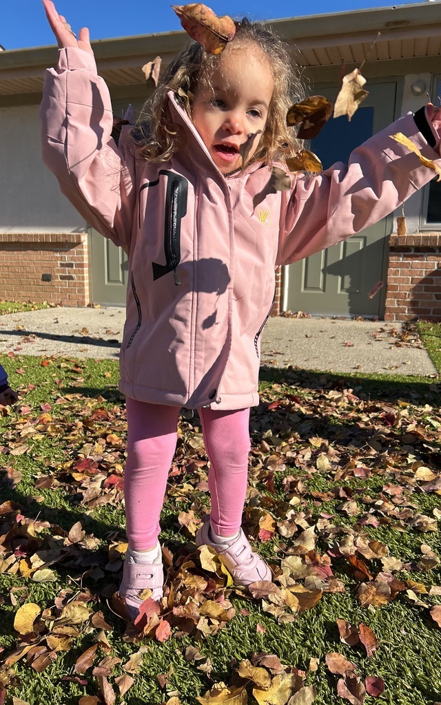 kerra3's tweet image. 🍂Our Bridge classroom had fun playing outside in the leaves today before the rain heads this way!🍂

#fallintolearning #optoutside #GoddardSchool #goddardschoolmason #goddard_school #EarlyChildhoodEducation #Childcare #LearningThroughPlay #PlayBasedLearning...