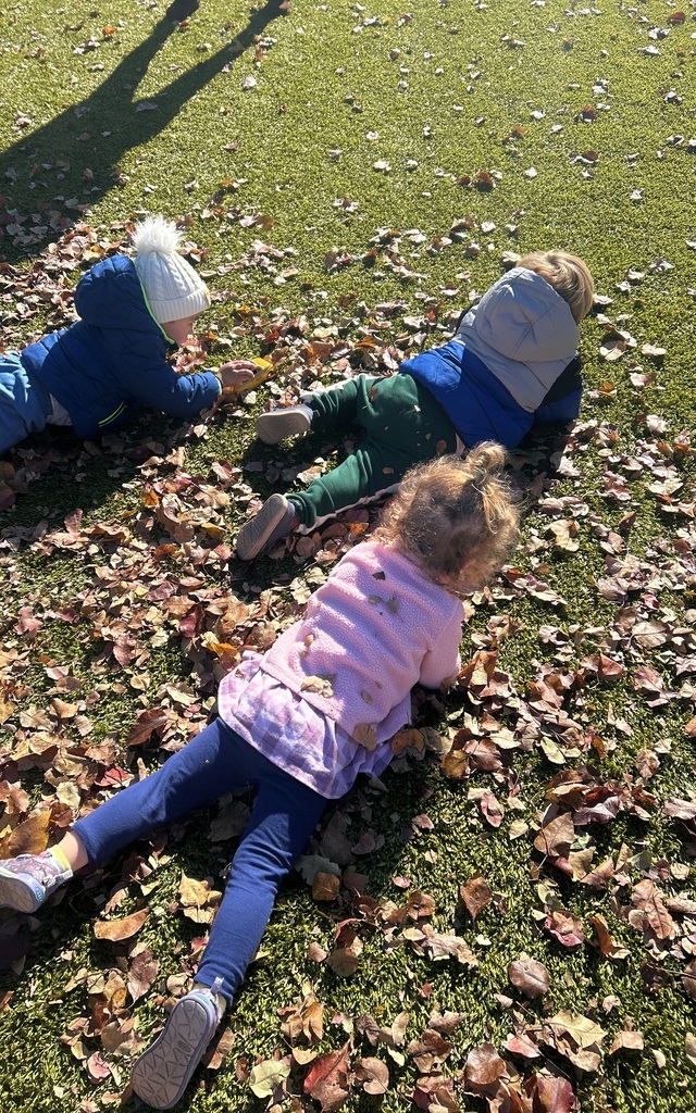 kerra3's tweet image. 🍂Our Bridge classroom had fun playing outside in the leaves today before the rain heads this way!🍂

#fallintolearning #optoutside #GoddardSchool #goddardschoolmason #goddard_school #EarlyChildhoodEducation #Childcare #LearningThroughPlay #PlayBasedLearning...