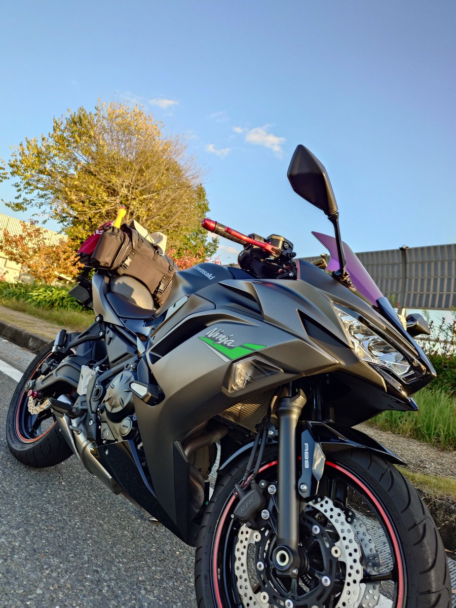 さやりん様　ご確認用♡ さなえさん おはようございます🌰