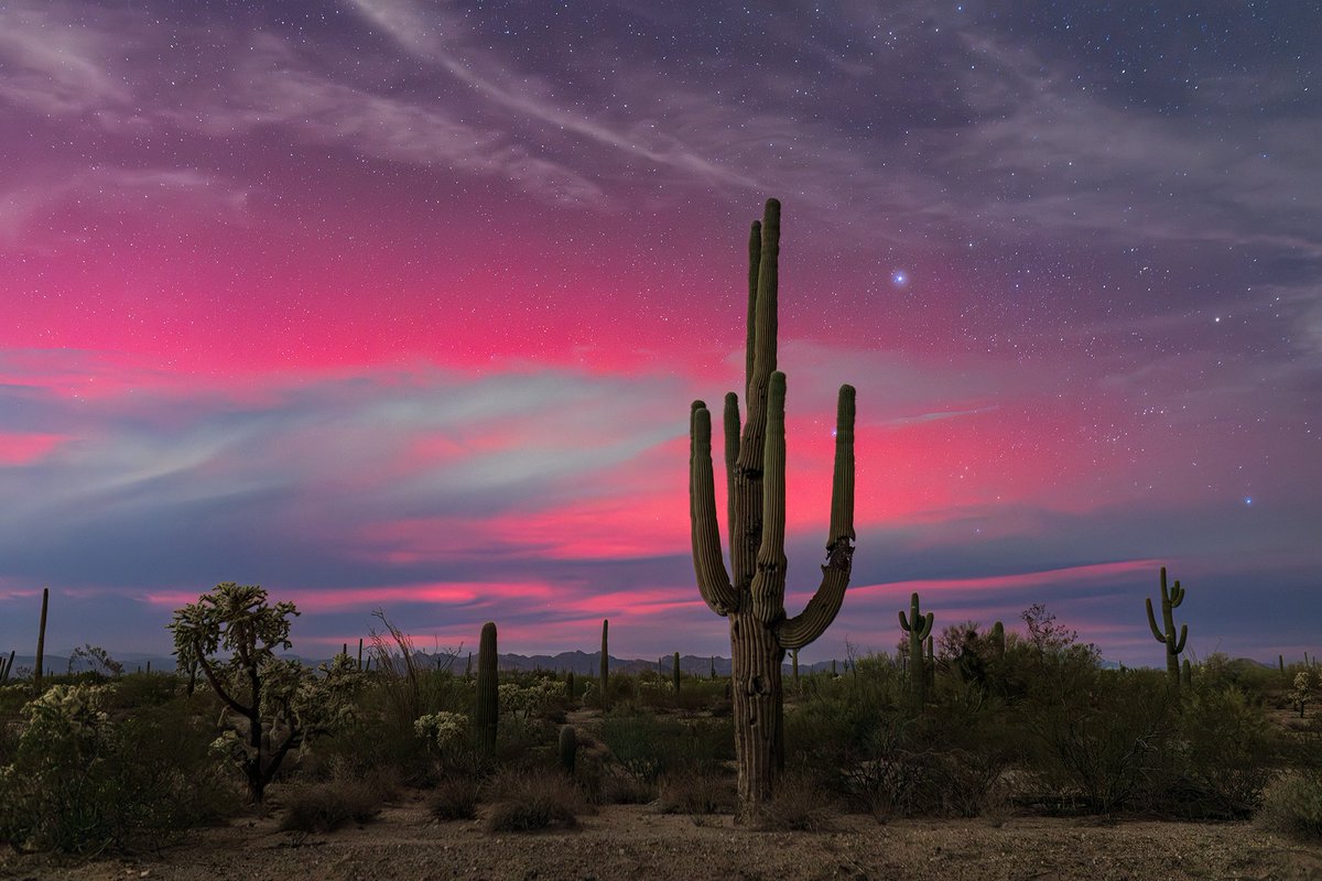 SirlinJohn's tweet image. Seeing the aurora in the desert will never stop being a top tier experience.