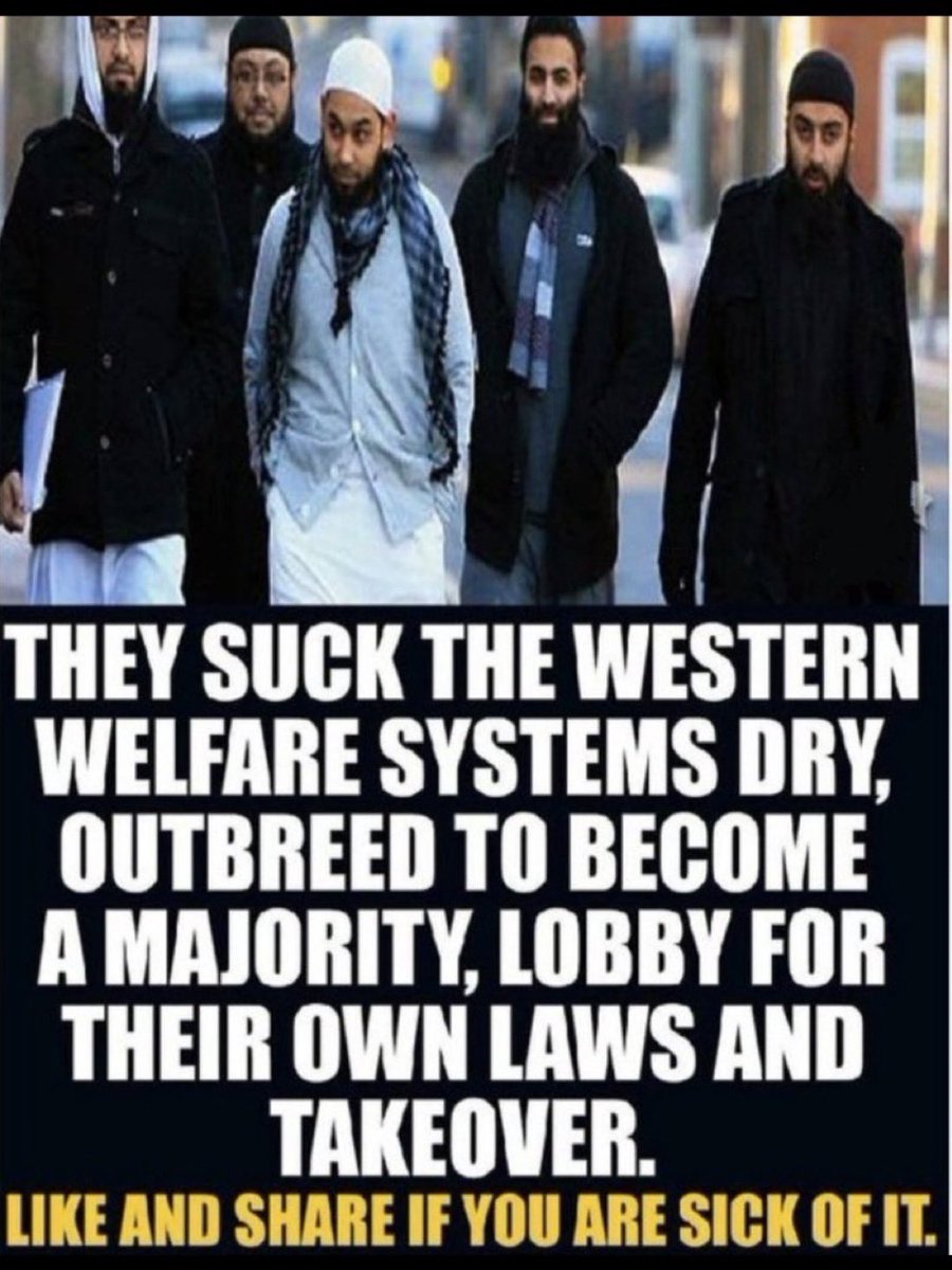 KittyRancher01's tweet image. They’re vile, uneducated, misogynistic subhumans!