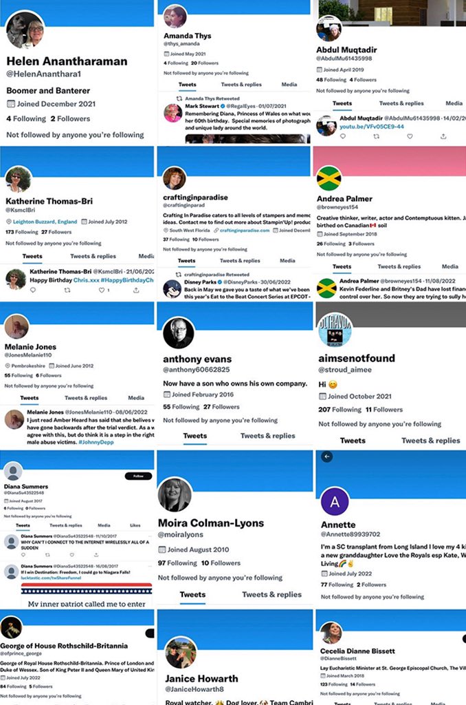 HighwaySqueak's tweet image. #PaidTrolling #PalaceDigitalServices #BlockIt