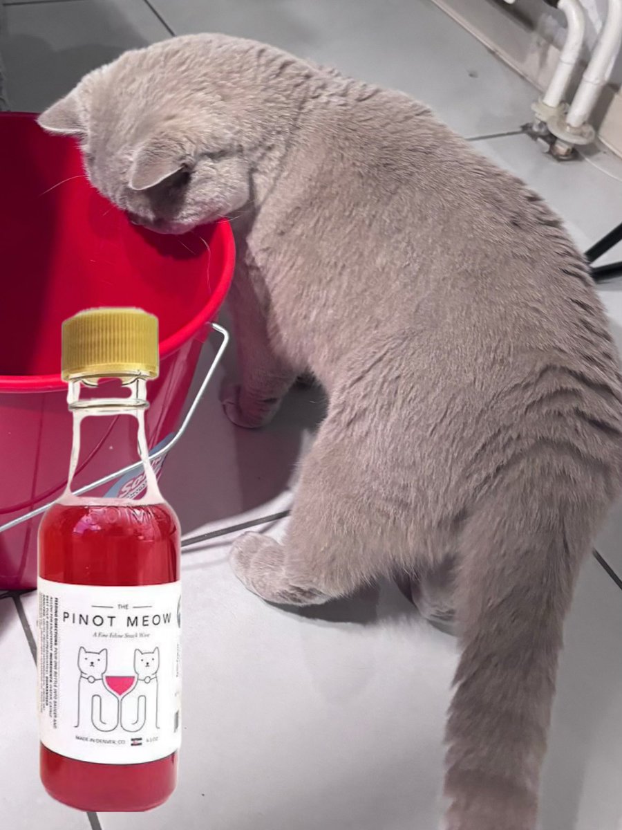 Colossus heeft last van zichzelf 😂😂😂😂😂