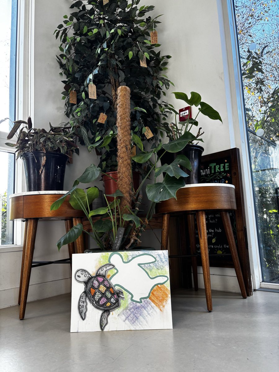 Men’s mental health month 🐢 

Today we explored understanding the importance of slowing down when we need to. By making beautiful turtles or turquoise. The story where the turtle wins the race. Allow people to find strength and beauty in their slow speed.

#art #hurdles2hoops