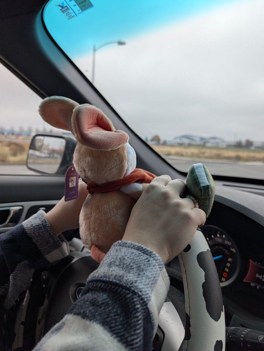 Quill is finally home. 

Thank you <a href="/PolyarcGames/">Polyarc - Moss and Glassbreakers</a>