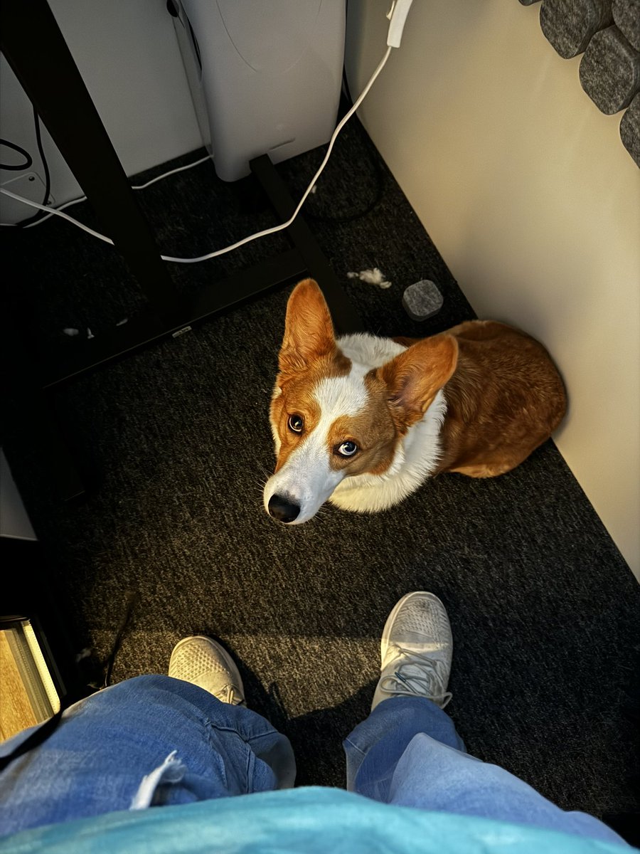 ZeRoyalViking (@ZeRoyalViking) / Posts and Replies / X