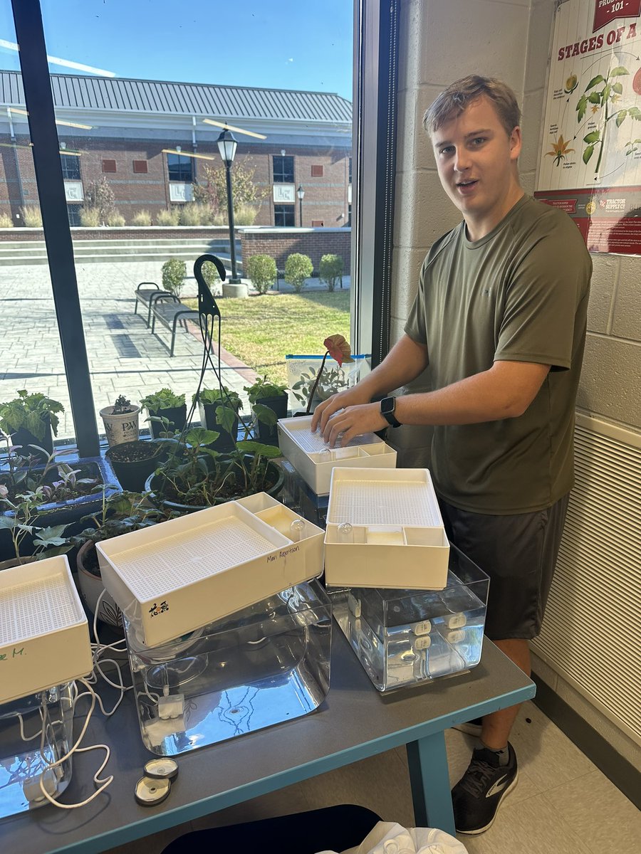 Principles of Plant Science and Hydroculture students continued work on their aquaponics tanks today. Some students chose to soak their pea seeds and some chose to put them directly in. Hmmm, what will the difference in germination be? <a href="/SumnerCountyCTE/">Sumner County CTE</a>