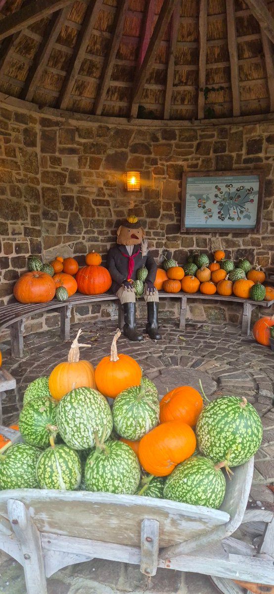 lovely_plot's tweet image. Finally, I visited @RHSRosemoor for the very first time, and oh my!
I don’t get much downtime these days, and finding a spare minute to visit gardens is hard, but I had a whole hour to kill when I was in the area and… 6,500 steps later, I vow to return very soon🥰
What a place😍