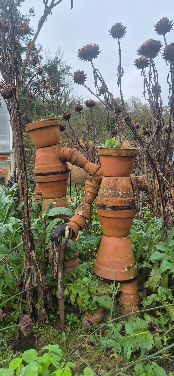 lovely_plot's tweet image. Finally, I visited @RHSRosemoor for the very first time, and oh my!
I don’t get much downtime these days, and finding a spare minute to visit gardens is hard, but I had a whole hour to kill when I was in the area and… 6,500 steps later, I vow to return very soon🥰
What a place😍