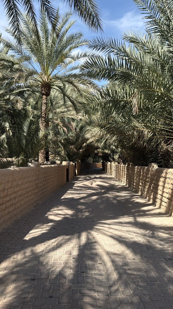 Lil Wayne tweet media