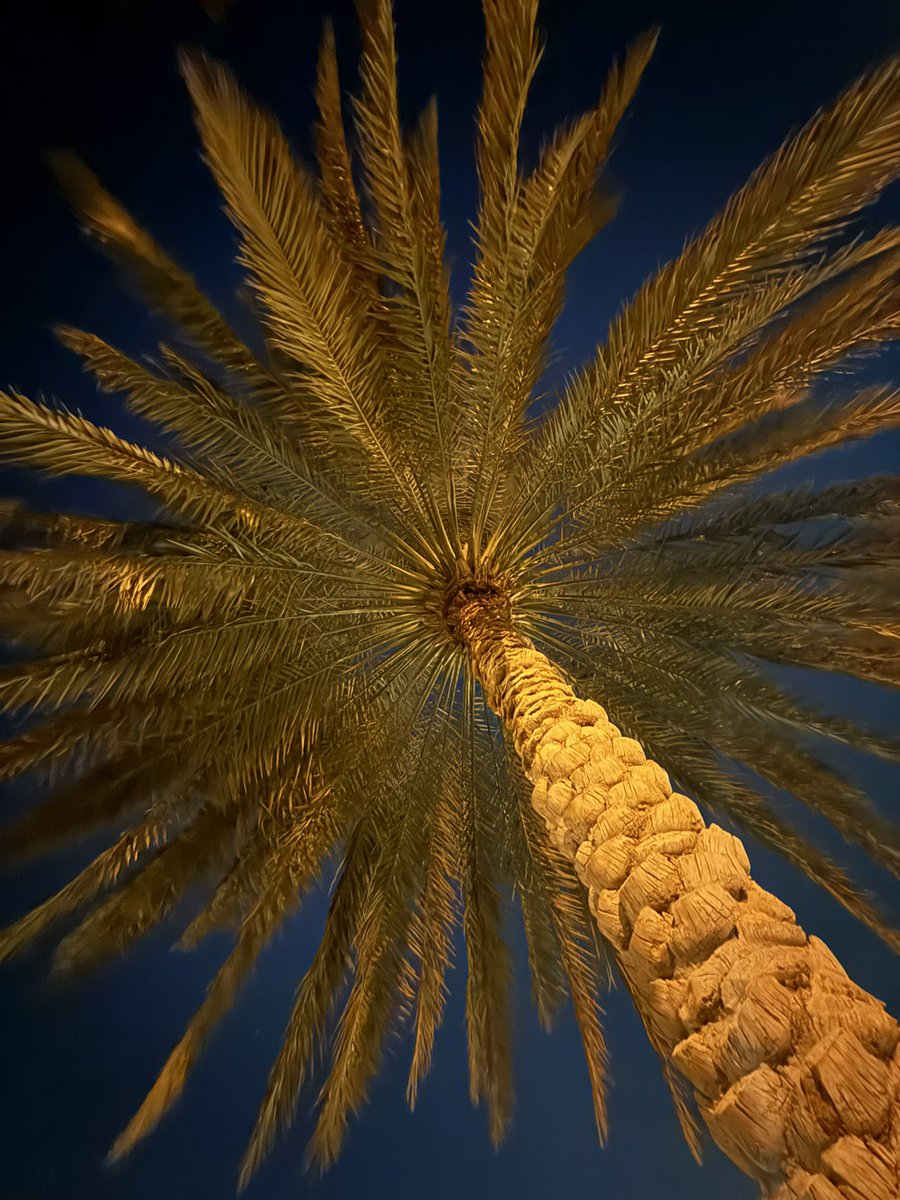 Lil Wayne tweet media