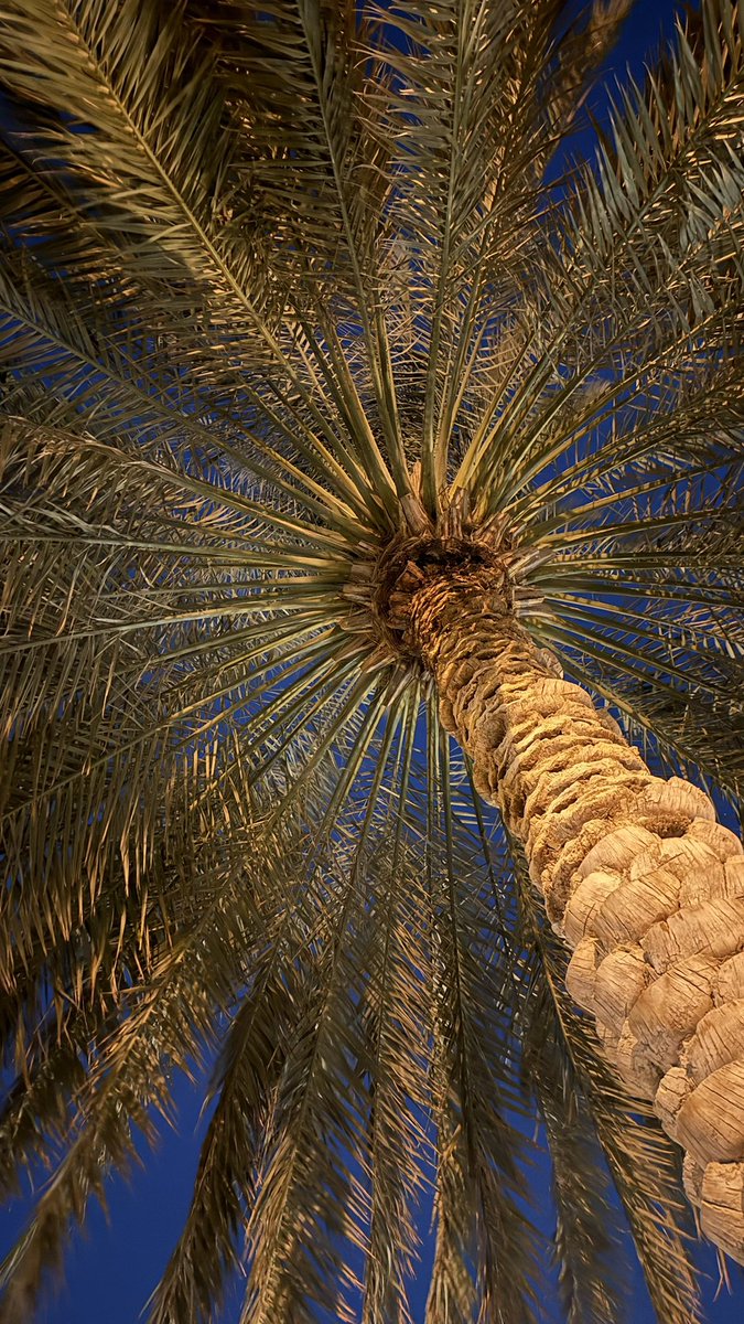 Lil Wayne tweet media