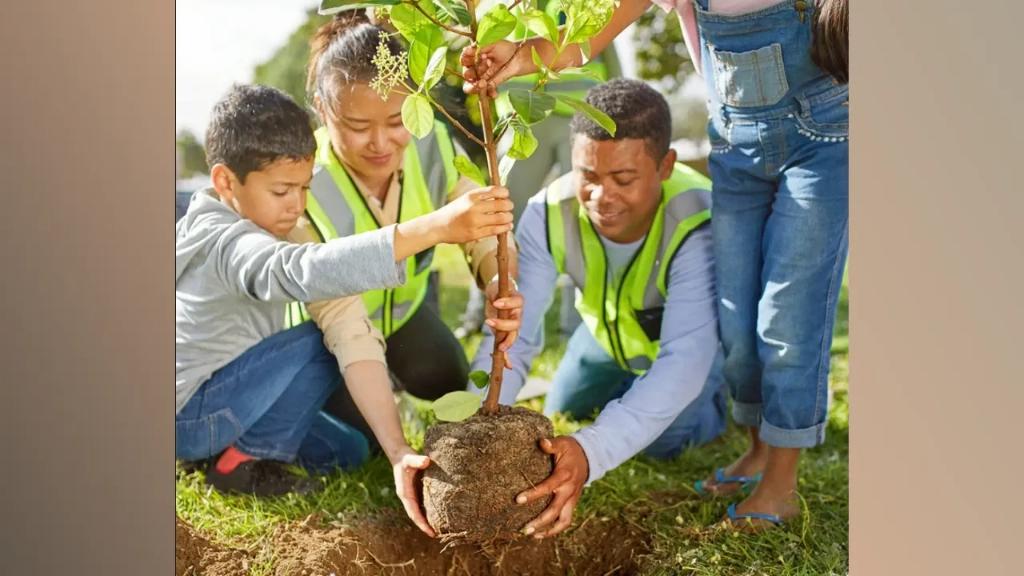 Elcat5's tweet image. This image says it all 🌿
It starts with you. Make a difference.

View the post 👉 app.ecox.network/community/post…
Earn GREEN on ECOX Network while you act:
app.ecox.network/register?refCo…

#ECOX #GREEN #ECO_TO_EARN