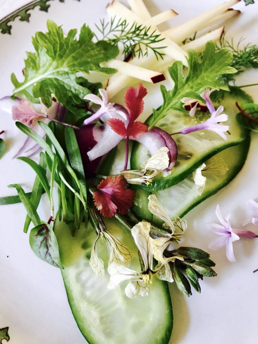 nineov's tweet image. So so fresh #healthy #cookbook #foodies #chef #foodstudies